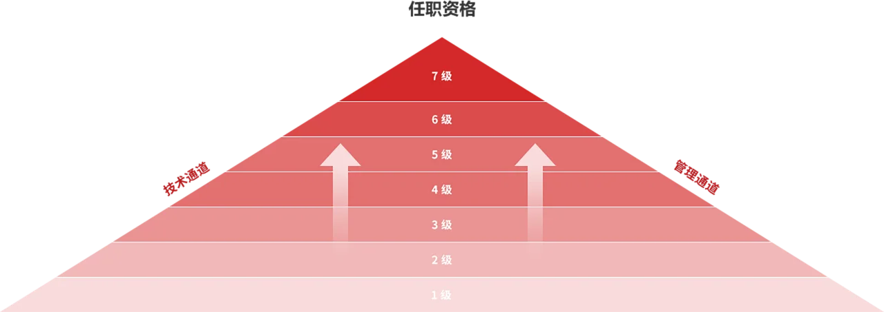 招聘官网插图21